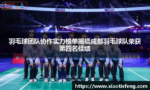 羽毛球团队协作实力榜单揭晓成都羽毛球队荣获第四名佳绩